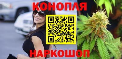 дурь Гатчина