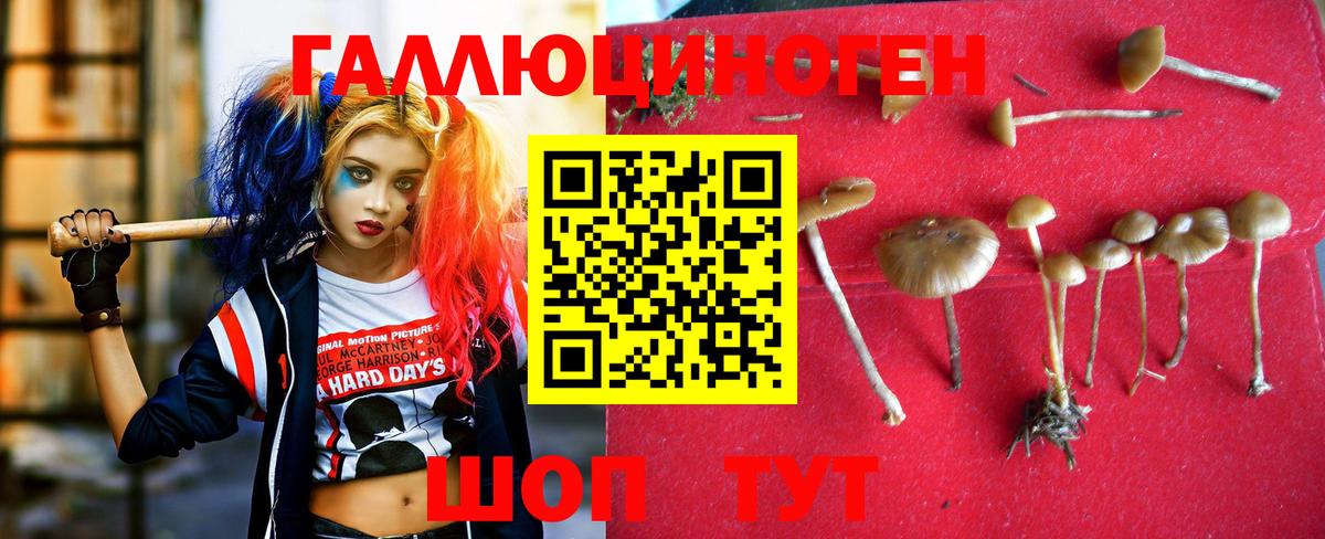 Кушва  Галлюциногенные грибы Magic Shrooms  Вход с VPN 